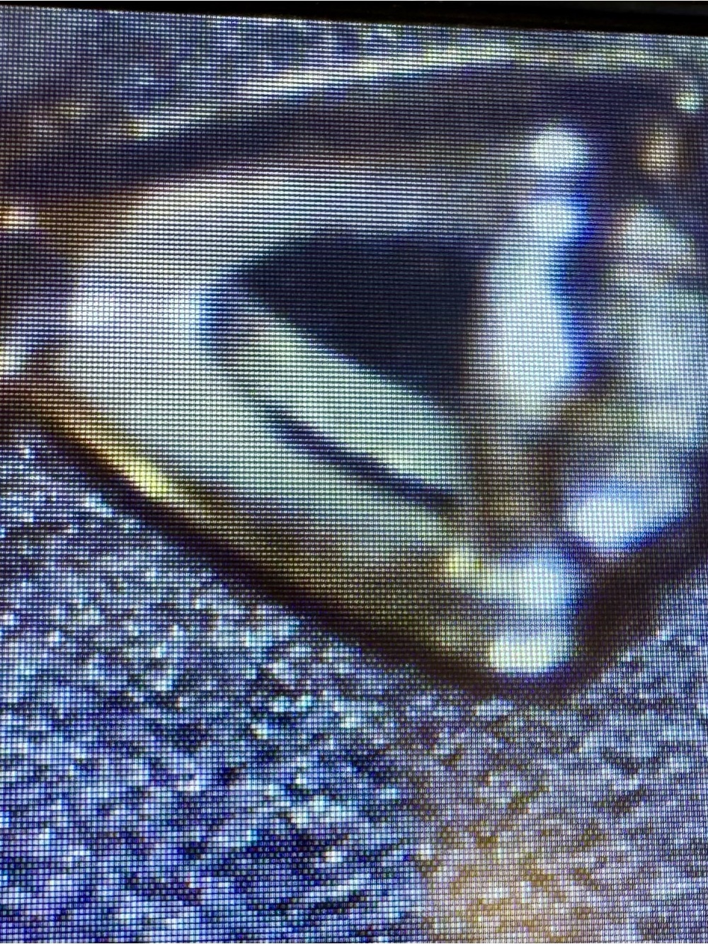 Classic Brushed 14kt Gold Solitaire Ring with Natural Diamond - Picture 6 of 11